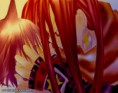 /album/haoxrenxyoh/a1e016bf96024-jpg/